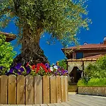 Sozopolis Village Resort